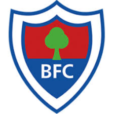 https://img.hbzhuojin.com/img/football/team/f4b90bde83ad84deda96bccf4b036a14.png